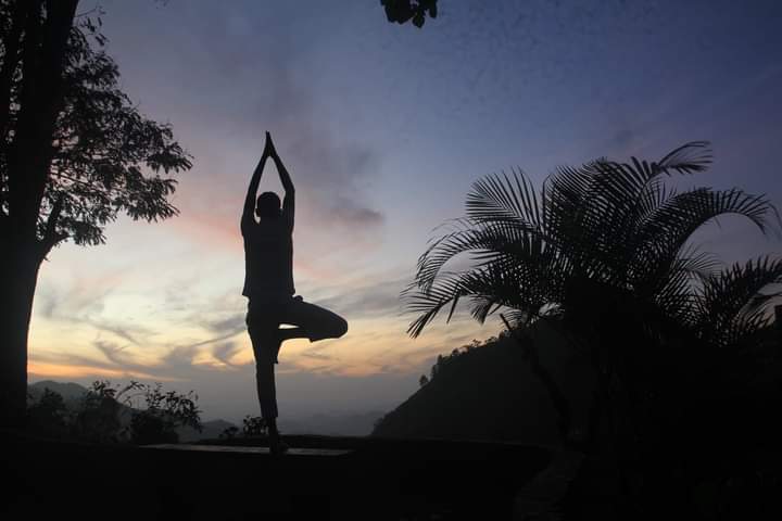 Yoga Gallery 5